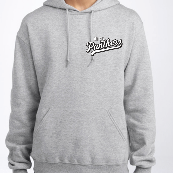 Panthers Hoodie - Gray w/ white logo