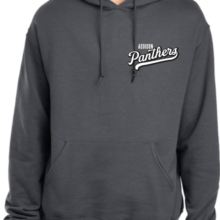 Panthers Hoodie - Charcoal w/ white logo