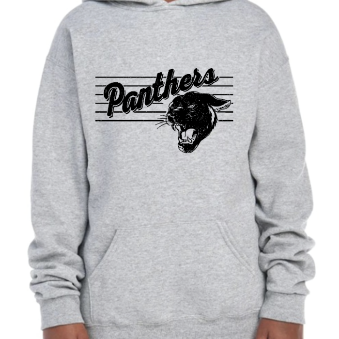 Panthers Hoodie - Gray w/ black logo