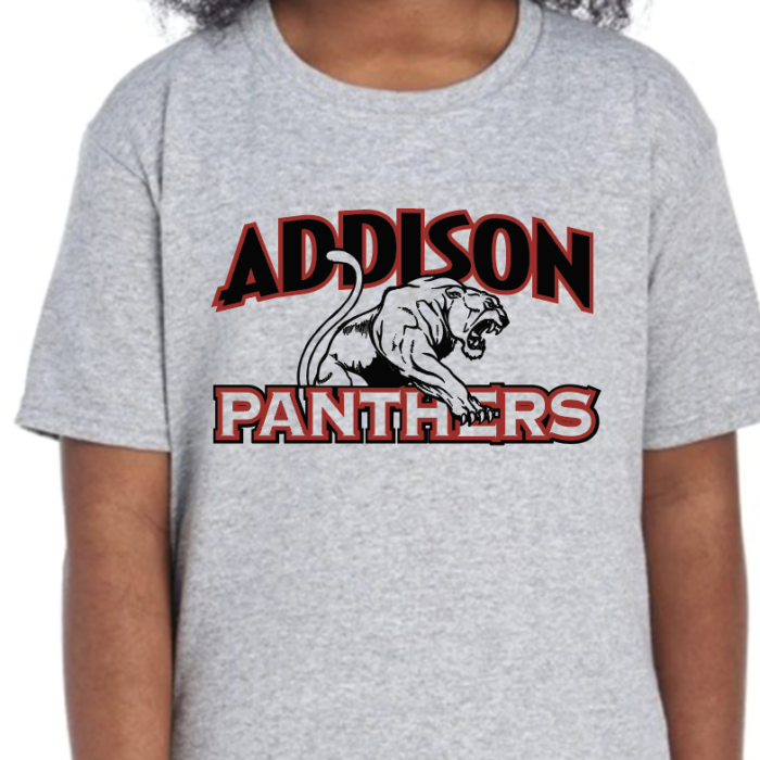 Panthers Tee - Gray w/ black and red logo