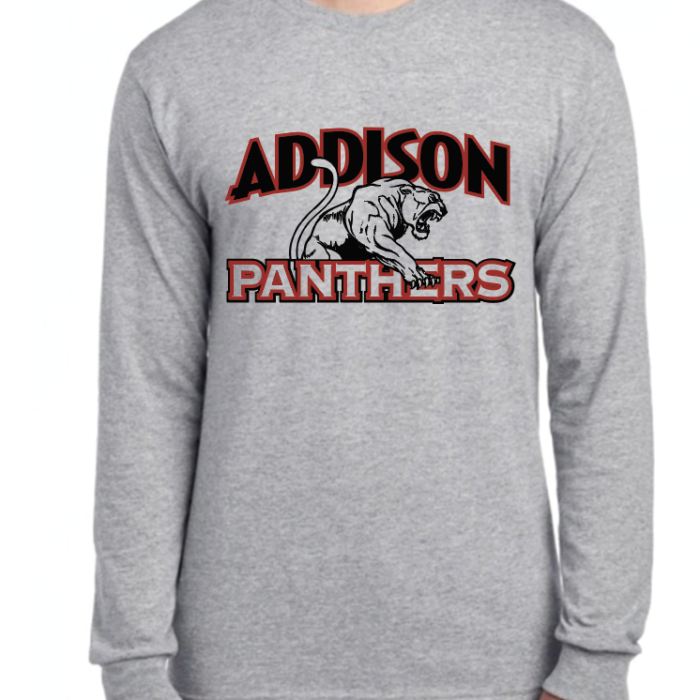 Panthers Long Sleeve - Gray w/ black and red logo