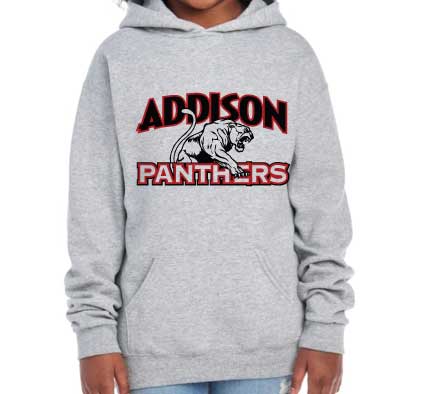 Panthers Youth Hoodie - Gray w/ red and black logo